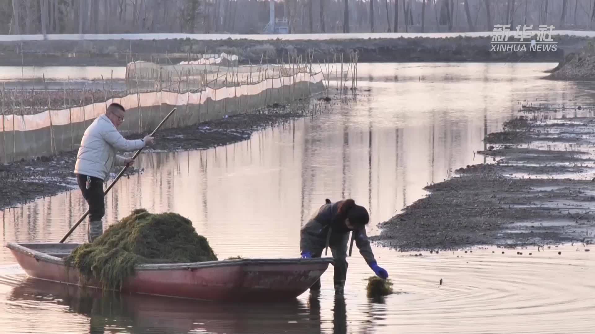 鲁曼：在高质量发展路上 服务乡村振兴