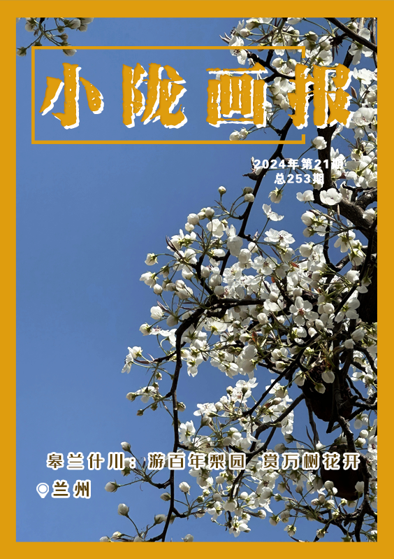 走进什川古镇游百年梨园赏万树花开