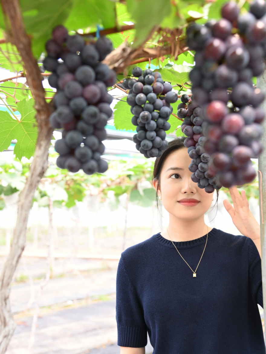 网红村中社村，曾获邀参与由中宣部与央视打造的节目《厉害了，我们的新时代》录制。