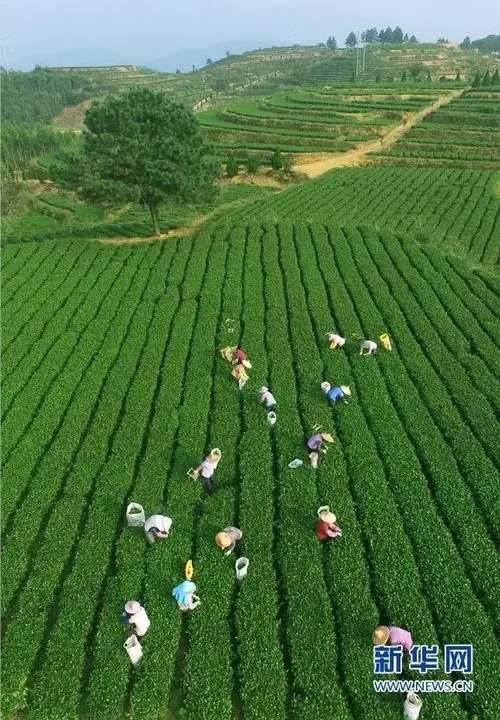 资料图 图片来源：新华网