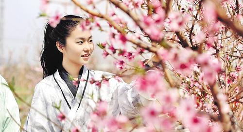 4月5日，游客在邯郸市复兴区东高河村赏花游玩。 河北日报通讯员 王洪超摄