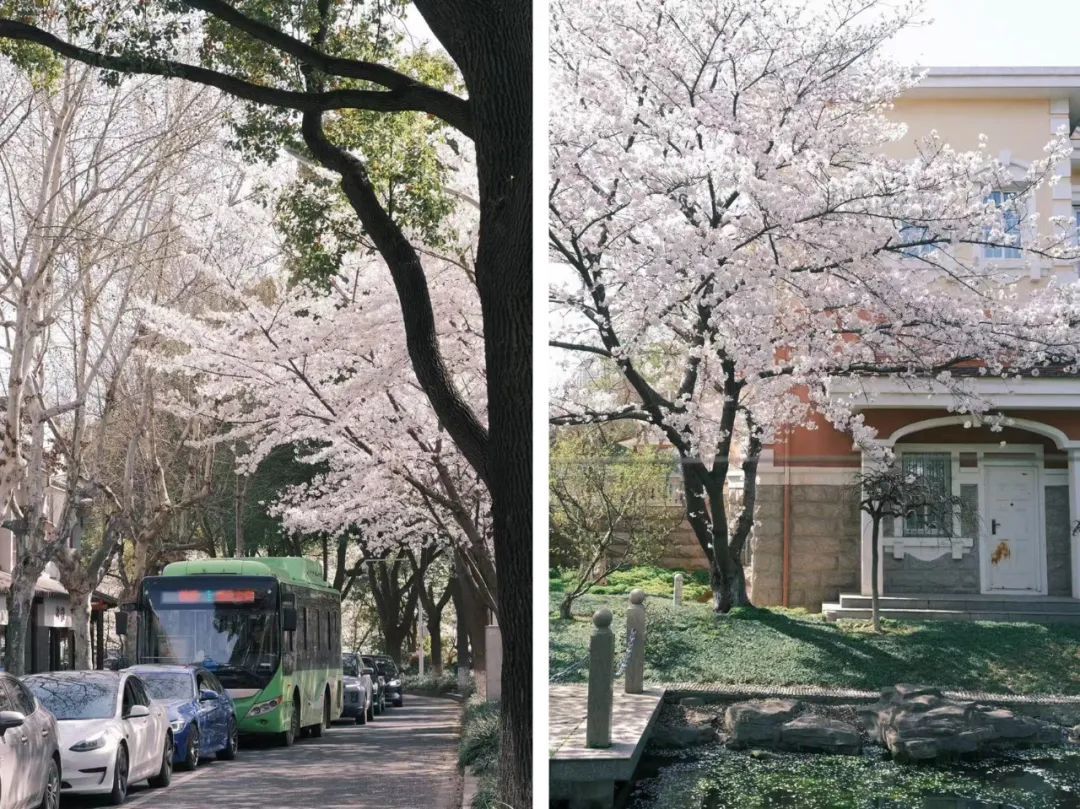 小红书 @全网都叫姐就是女王