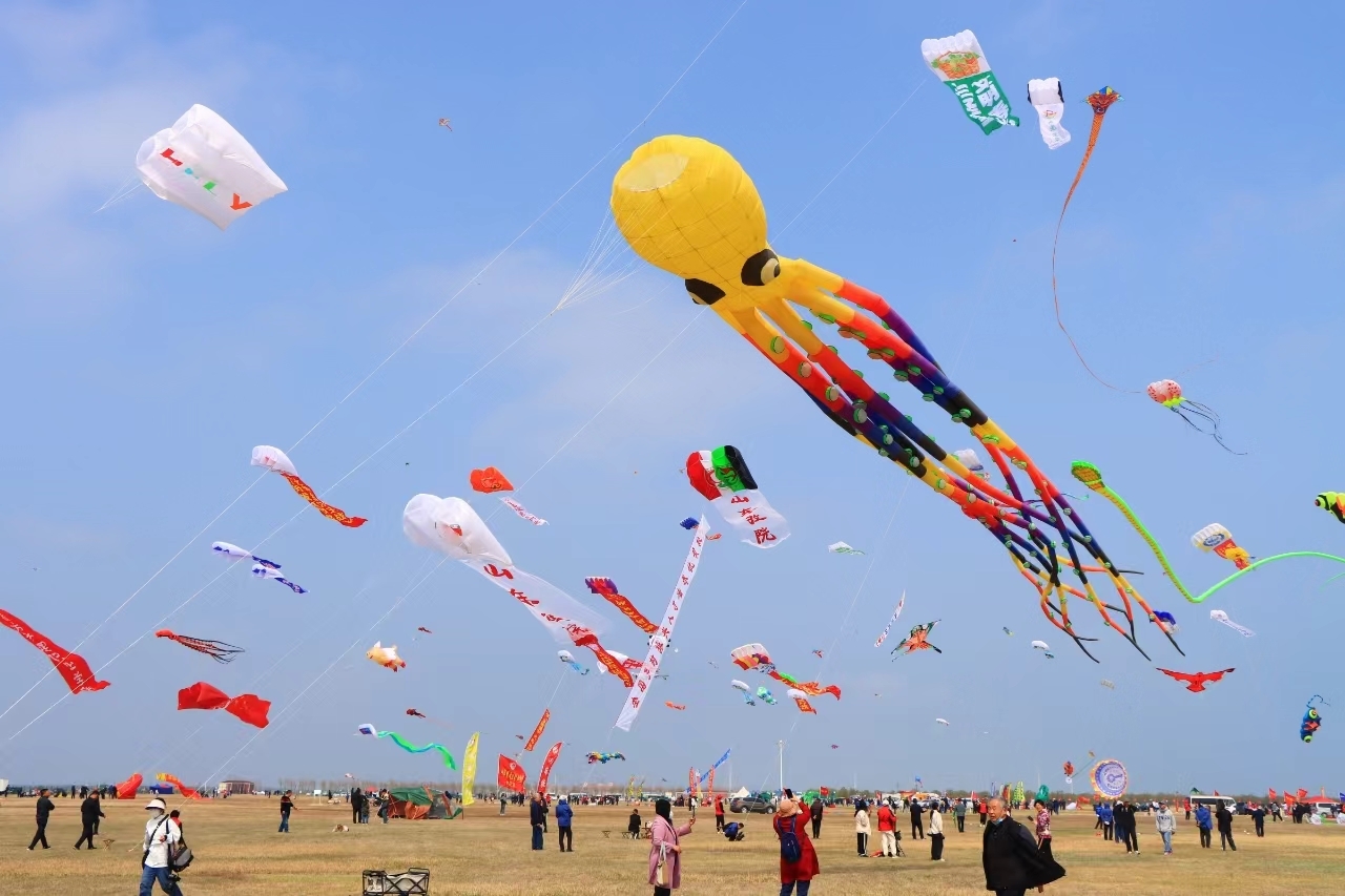 面朝大海 千只风筝争奇斗艳——2024潍坊风筝大赛在潍坊滨海开赛