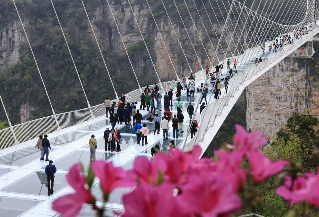 游人在张家界大峡谷风景区体验高空玻璃桥