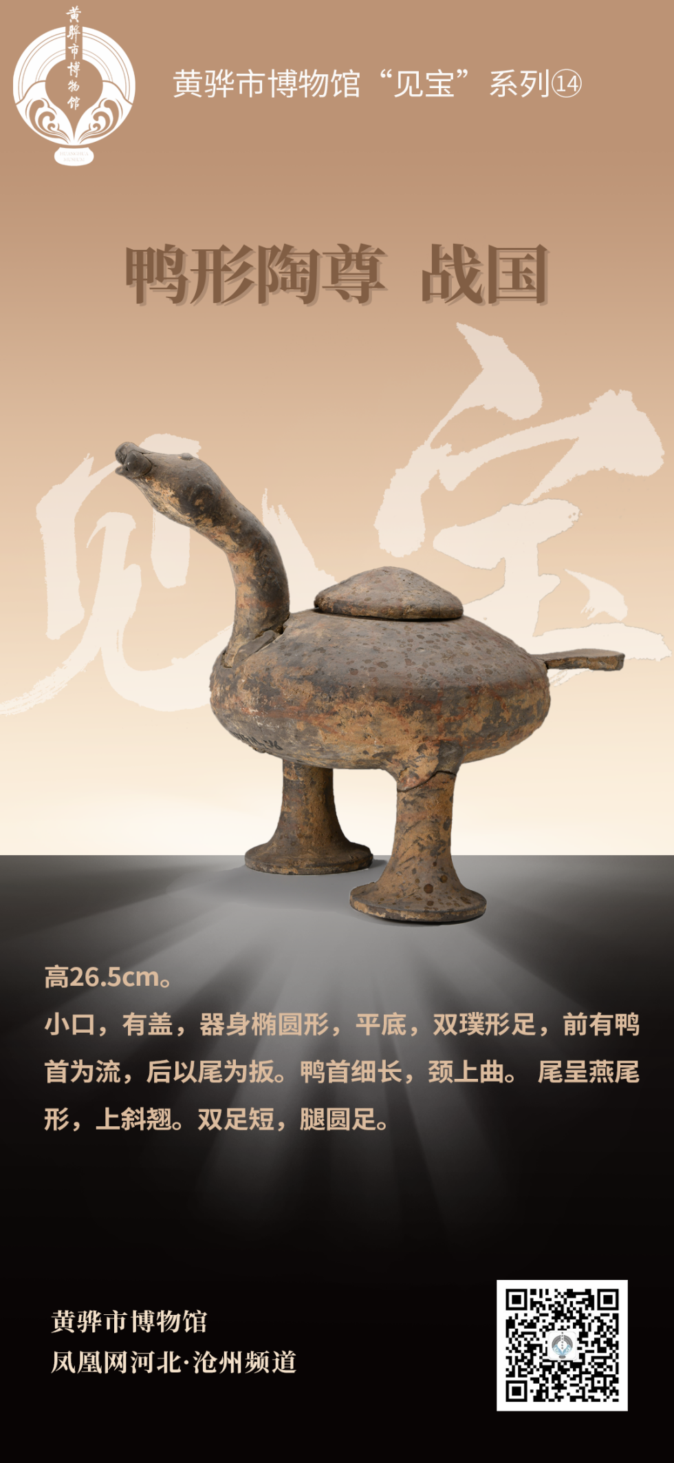 黄骅市博物馆“见宝”系列（14）：鸭形陶尊