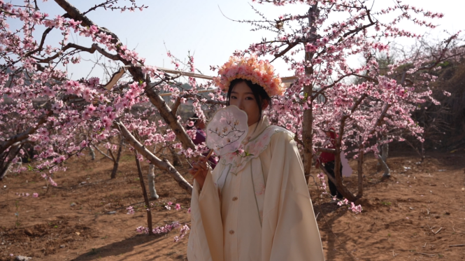 激活“桃花经济” 看肥城如何“延长花期”