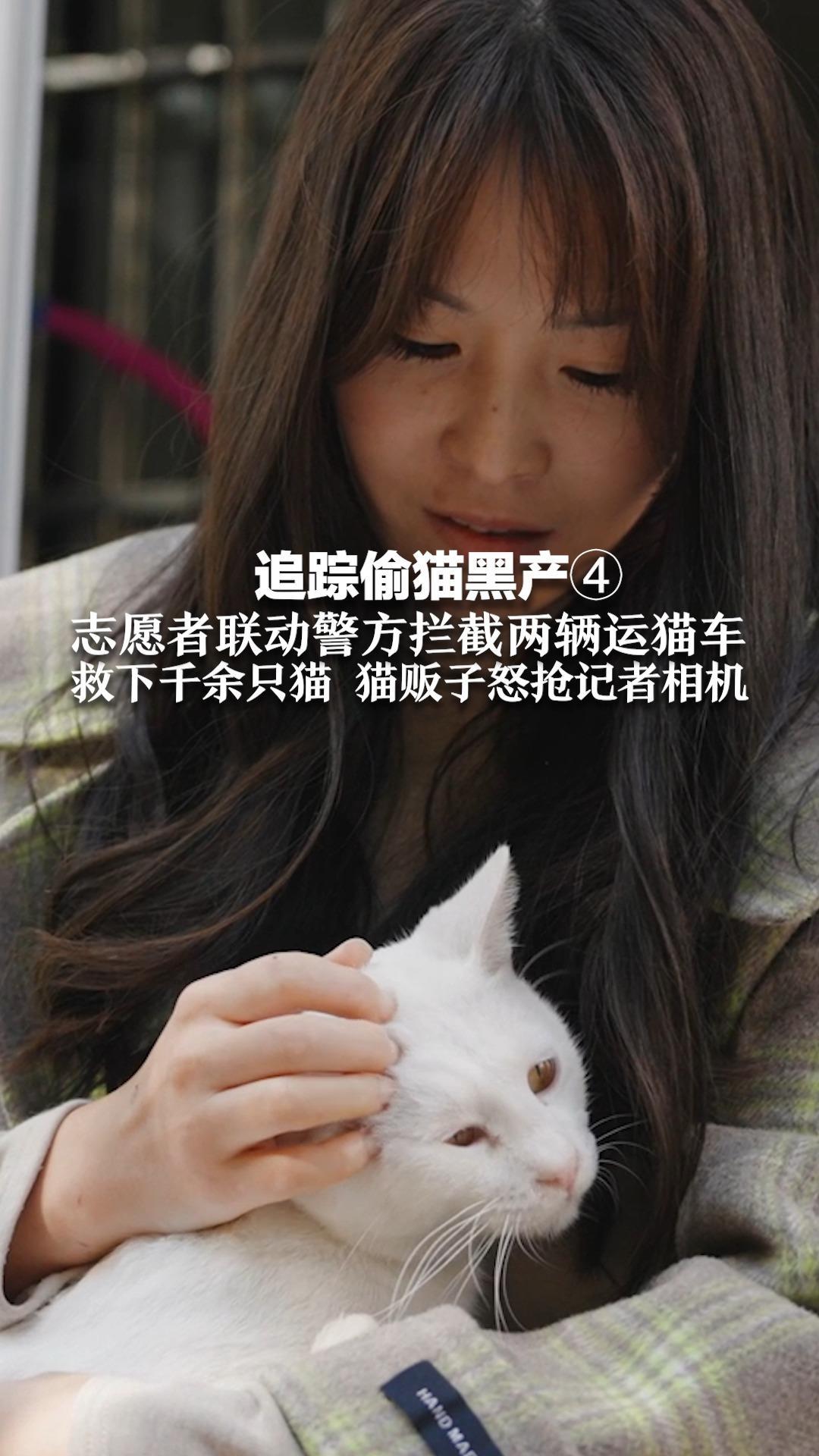 追踪偷猫黑产④ 志愿者联动警方拦截两辆运猫车 成功救下千余只猫 现场猫贩子怒抢记者相机