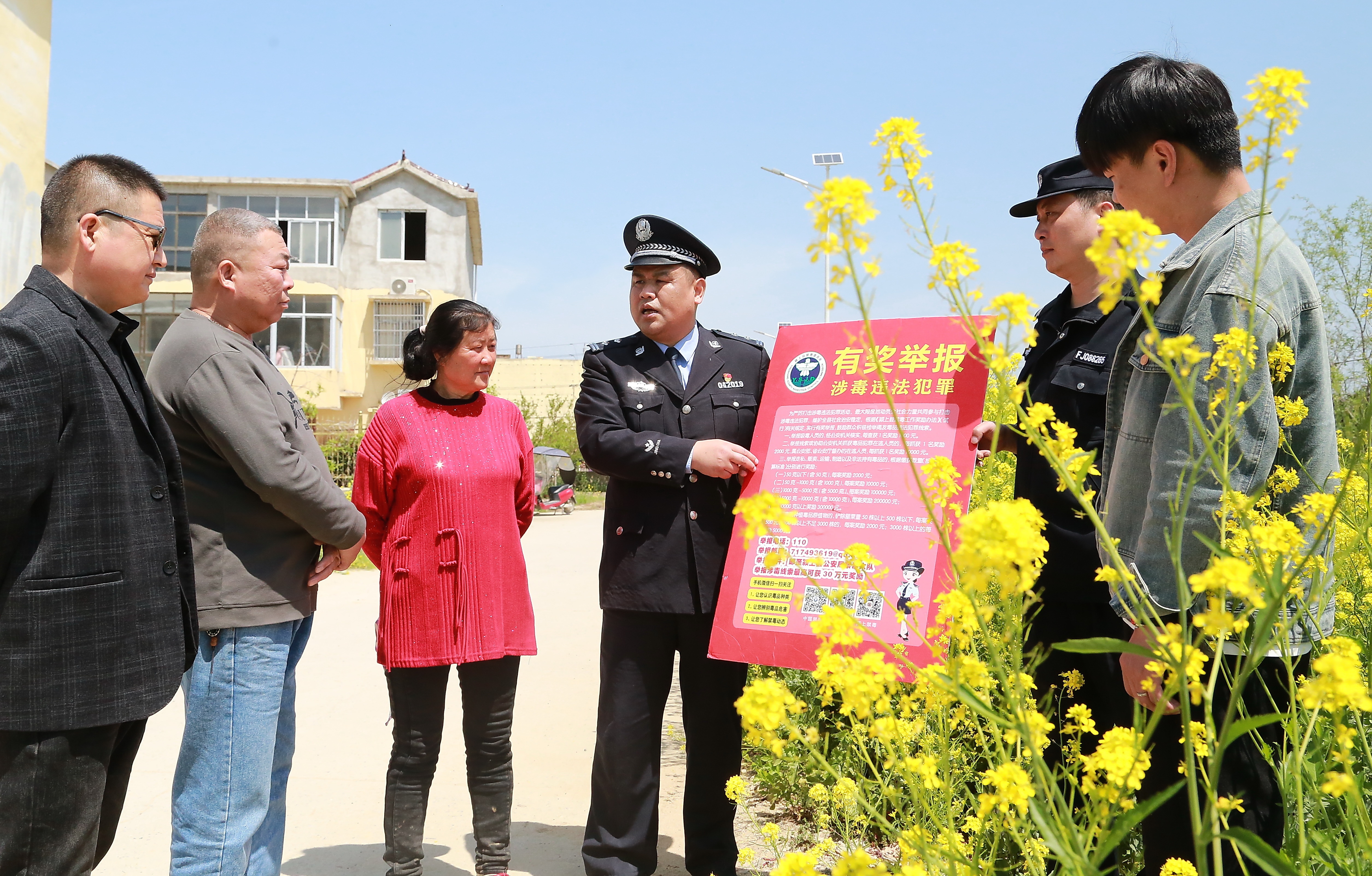 安徽颍上:禁种铲毒 守护净土