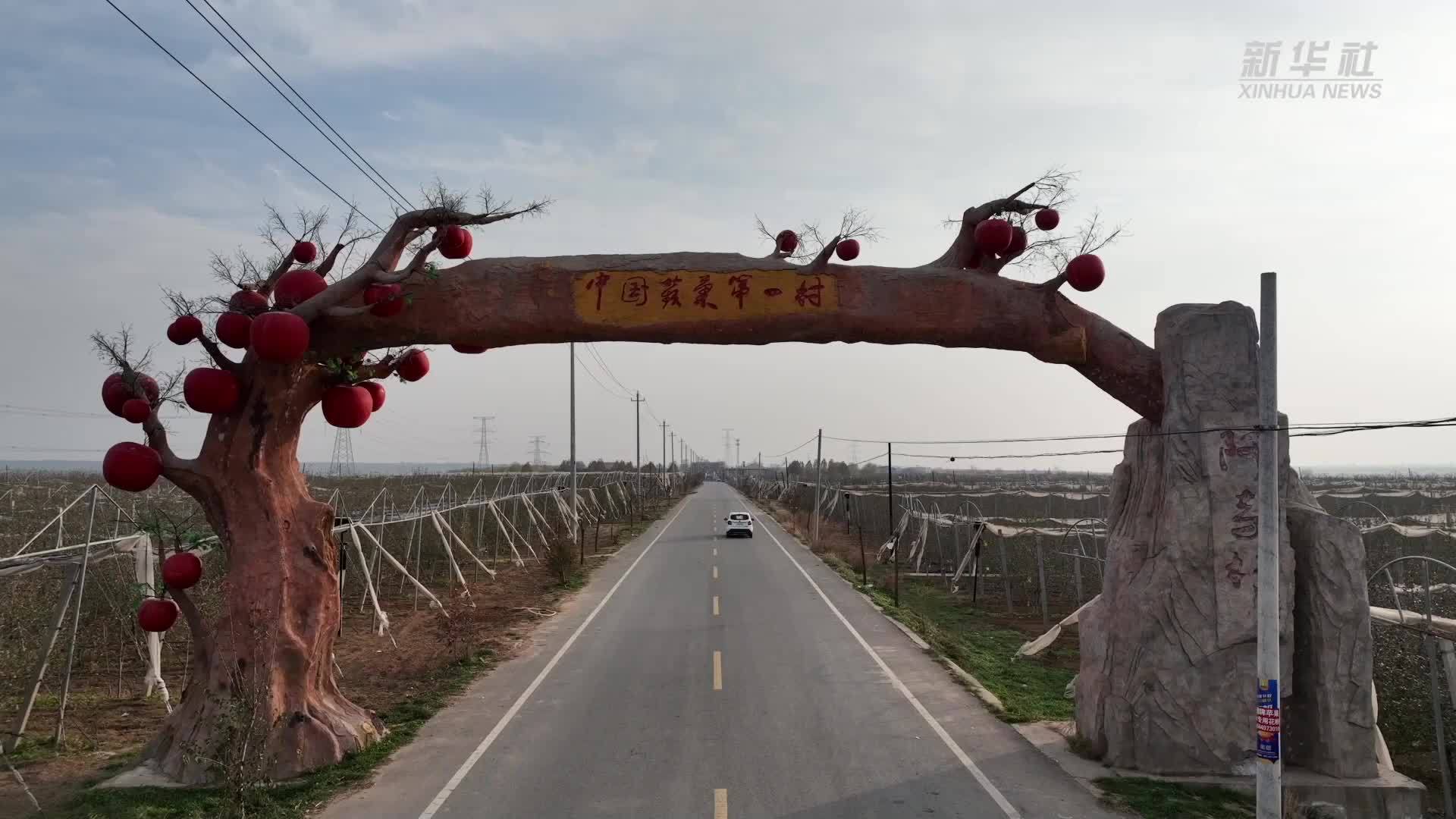 乡村行·看振兴丨陕西延安：200多亿颗苹果是如何“链”成的