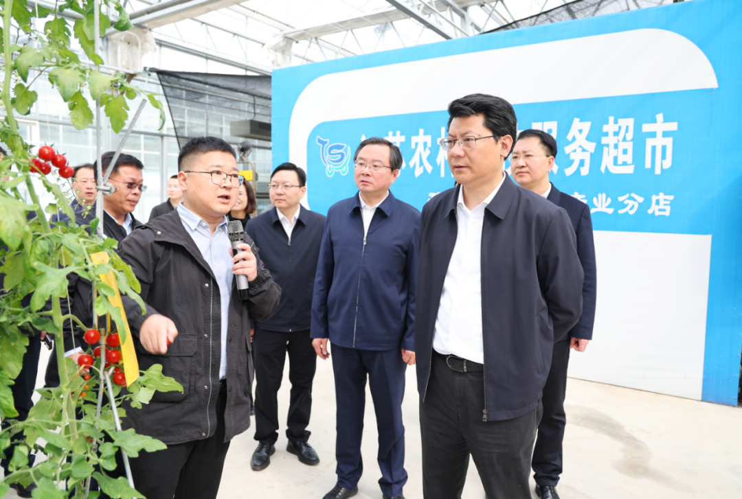 王进健在邗江区槐泗镇市区菜篮子基地调研