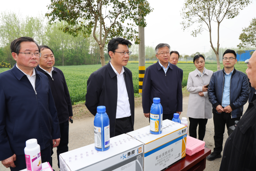 王进健在仪征市新集镇小麦单产提升示范点调研