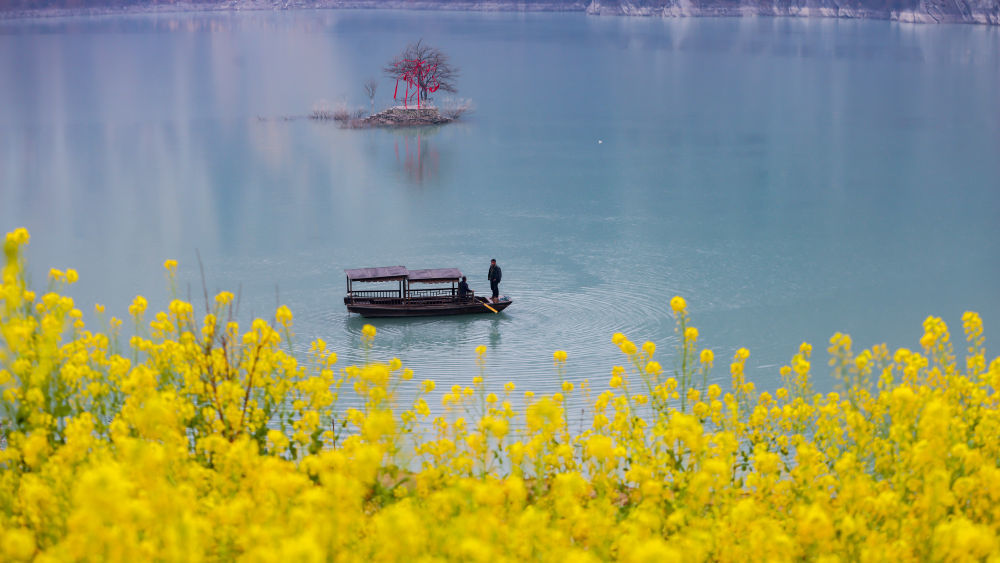 游客在陇南市文县玉垒乡玉垒坪村附近的江面乘船赏花（李董　摄）
