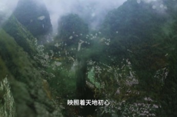 泉水叮咚系列丨样样严苛 只为您喝的安心