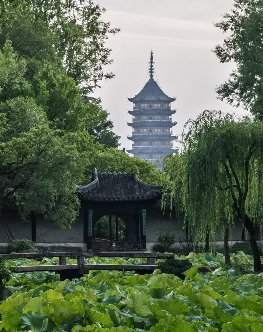 夏日里的拙政园