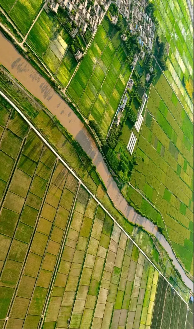 // 惠农渠青铜峡叶盛段