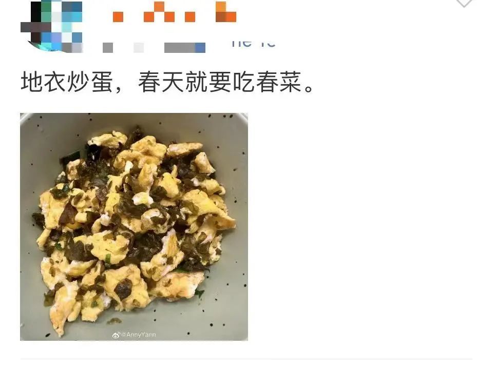 地皮菇可以吃吗图片