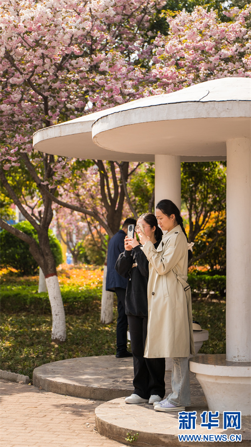 4月11日,河南省济源市思礼镇万阳湖畔,游人在拍照打卡。