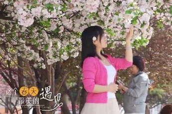 黄河之滨　海棠朵朵开