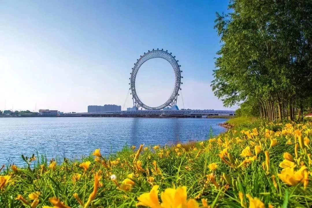 // 潍坊渤海之眼