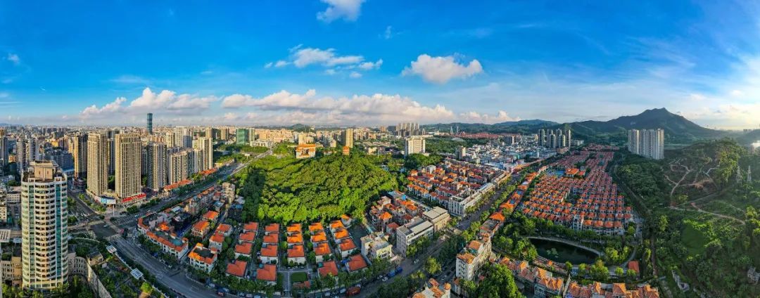 长安镇“三大项目”同日启用  助推“百千万工程”全面加速