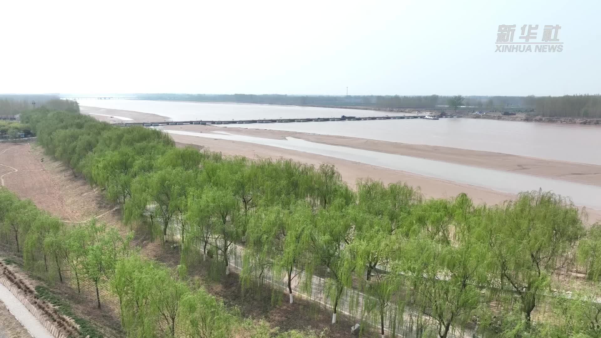 山东邹平：香飘黄河岸