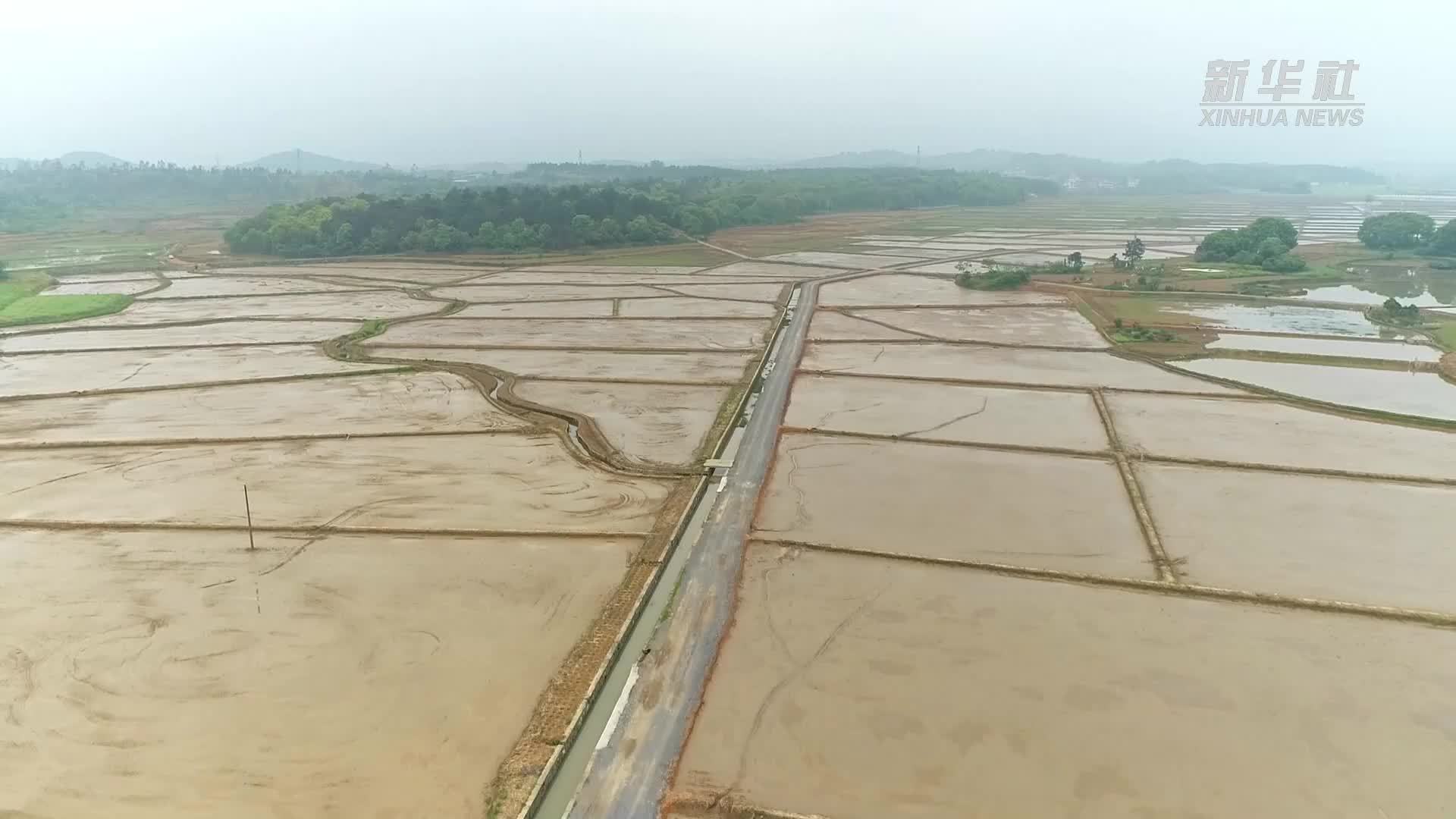 湖南东安：科技赋能智慧春耕