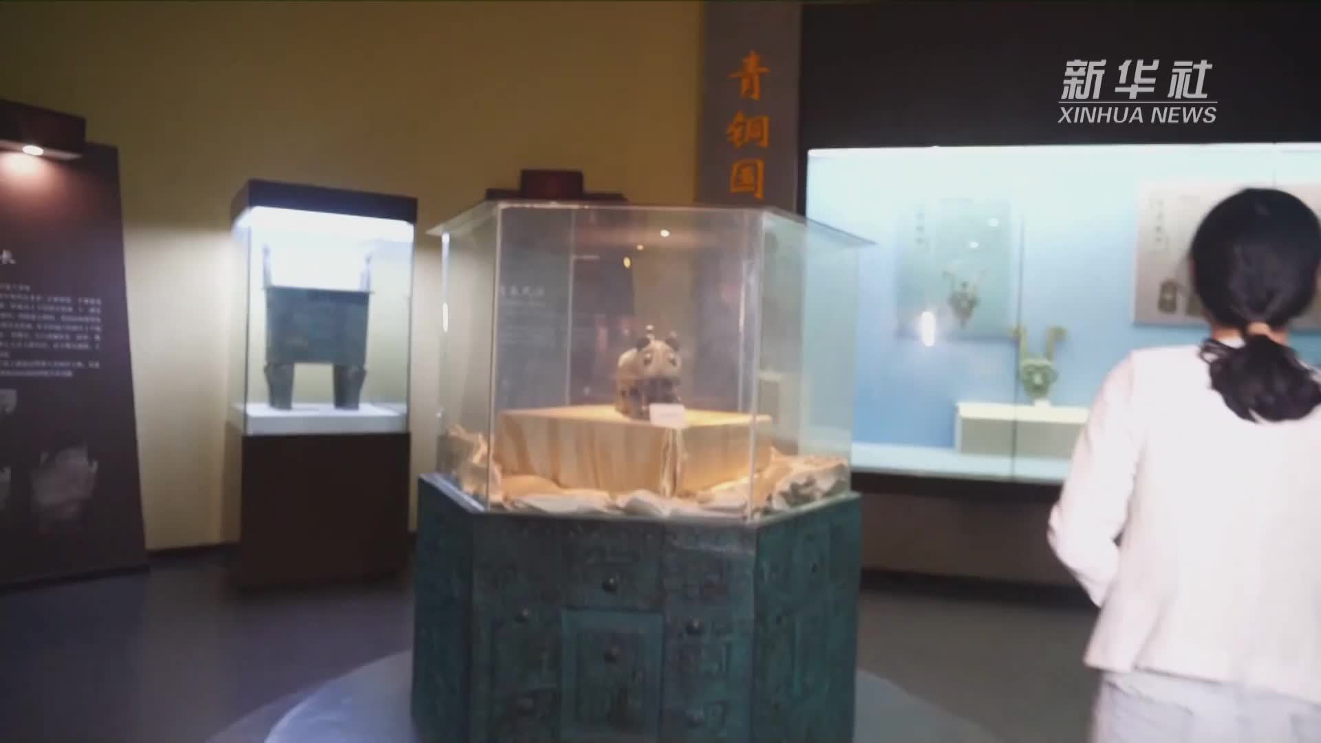 江西省博物馆镇馆之宝伏鸟双尾青铜虎商代青铜艺术的辉煌之作