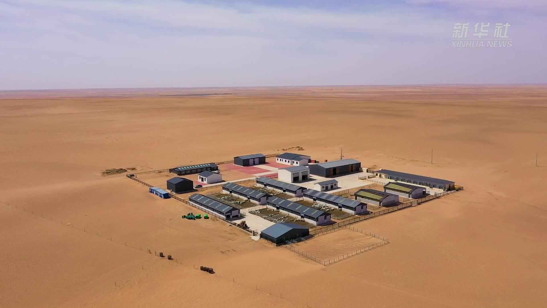 内蒙古苏尼特右旗：智慧牧场增强发展核心动力