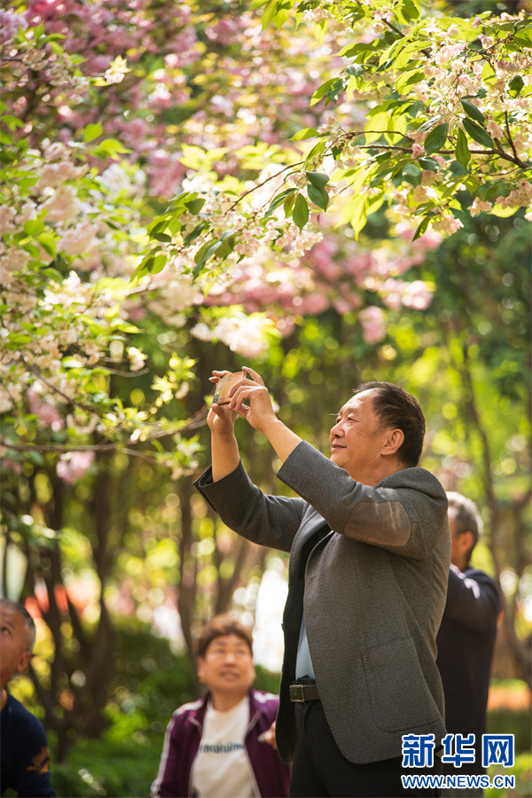 4月11日,河南省济源市思礼镇万阳湖畔,游人在拍照打卡。