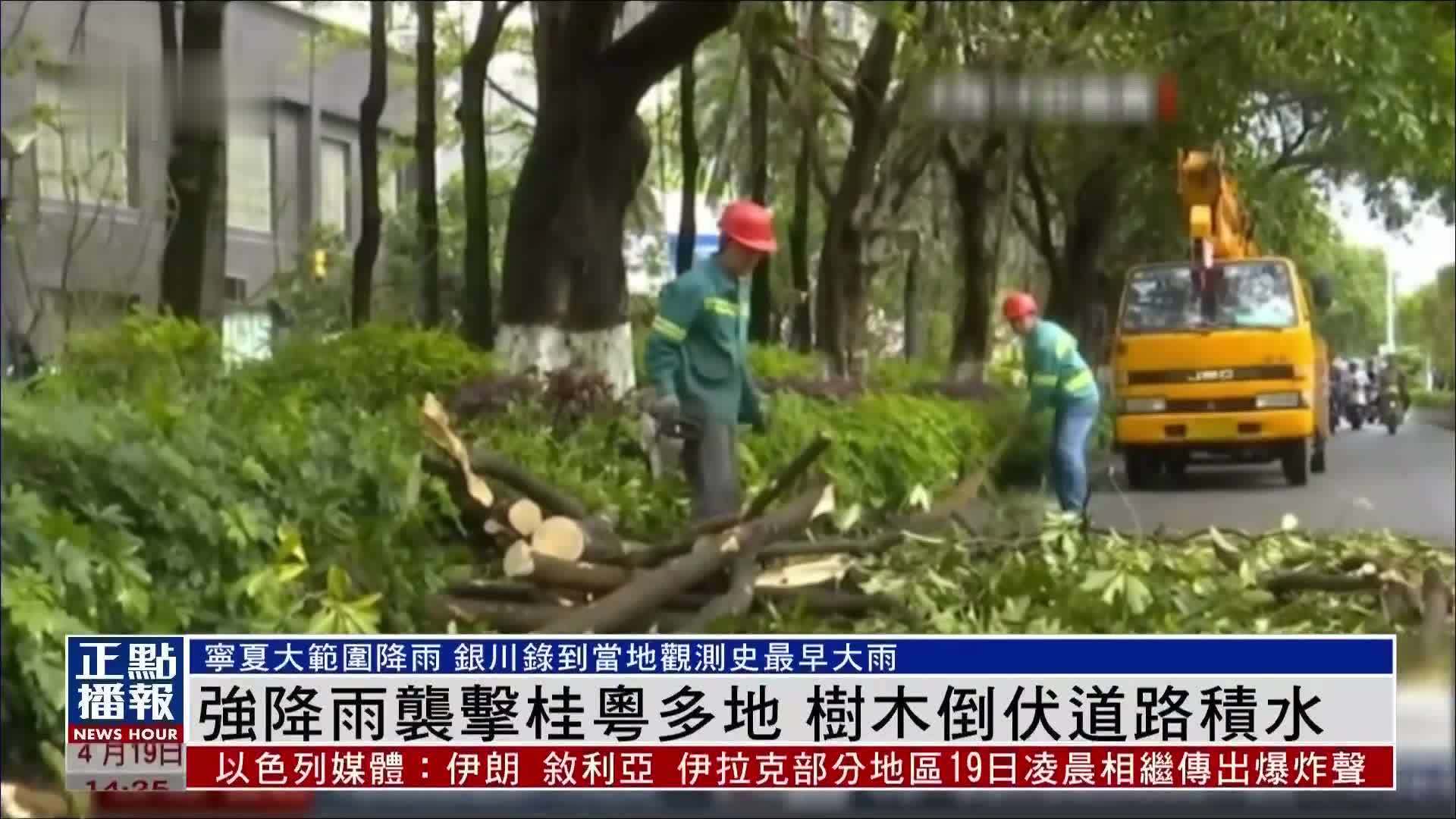 强降雨袭击桂粤多地 树木倒伏道路积水