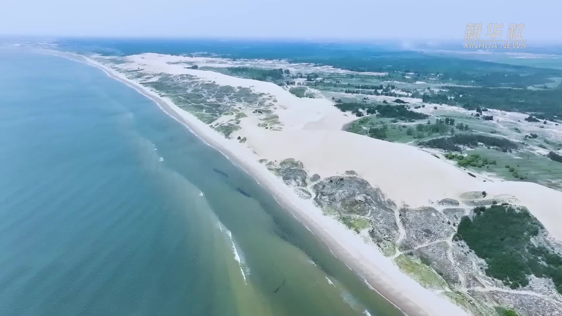 瞰中国丨海岸沙丘 生态奇观