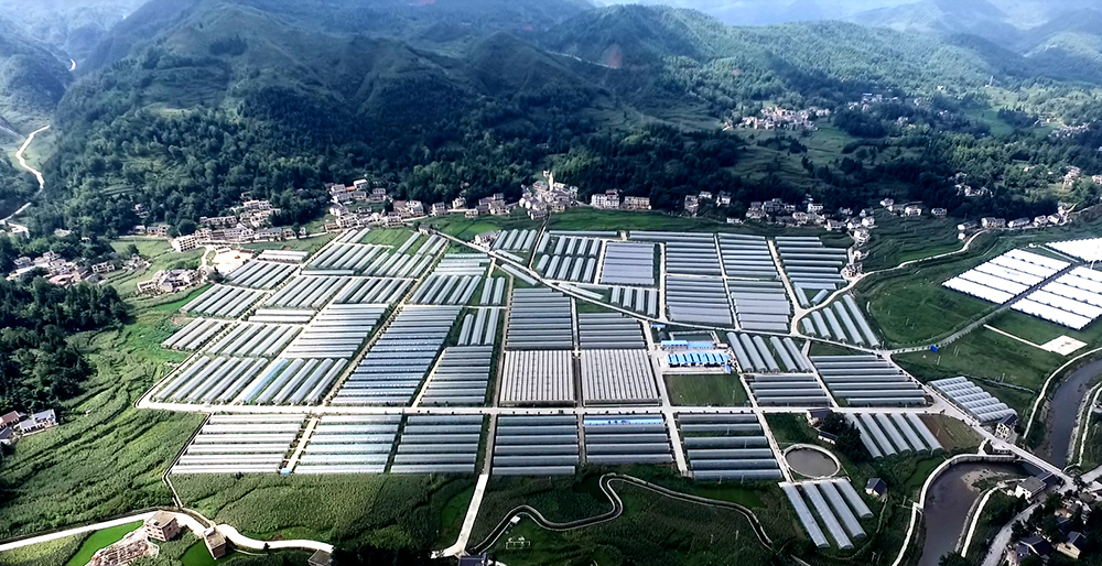 由寿光九丰农业承建和运营的贵州织金现代高效农业园区 潍坊市人民