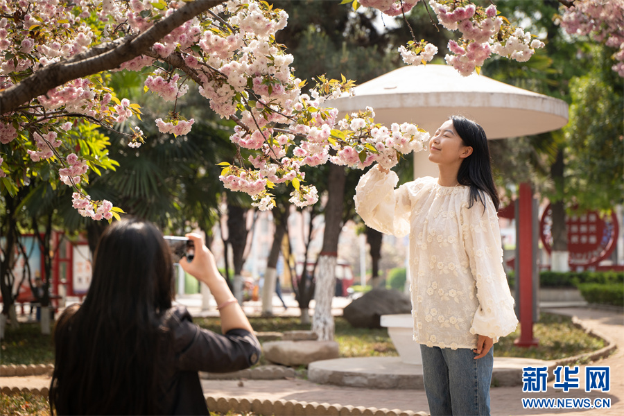 4月11日,河南省济源市思礼镇万阳湖畔,游人在拍照打卡。