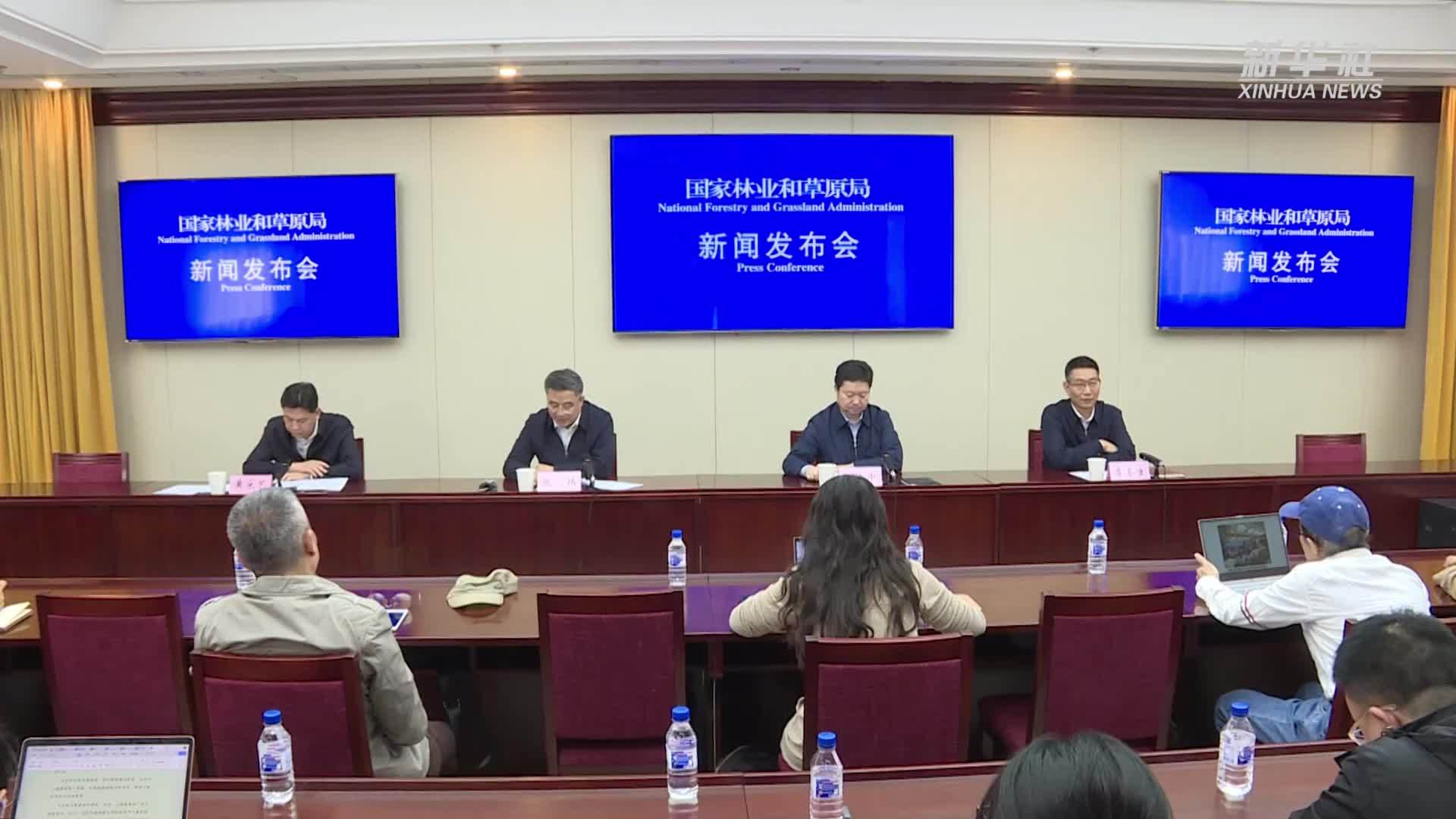 国家林草局：“三北”工程区已完成造林种草2000多万亩