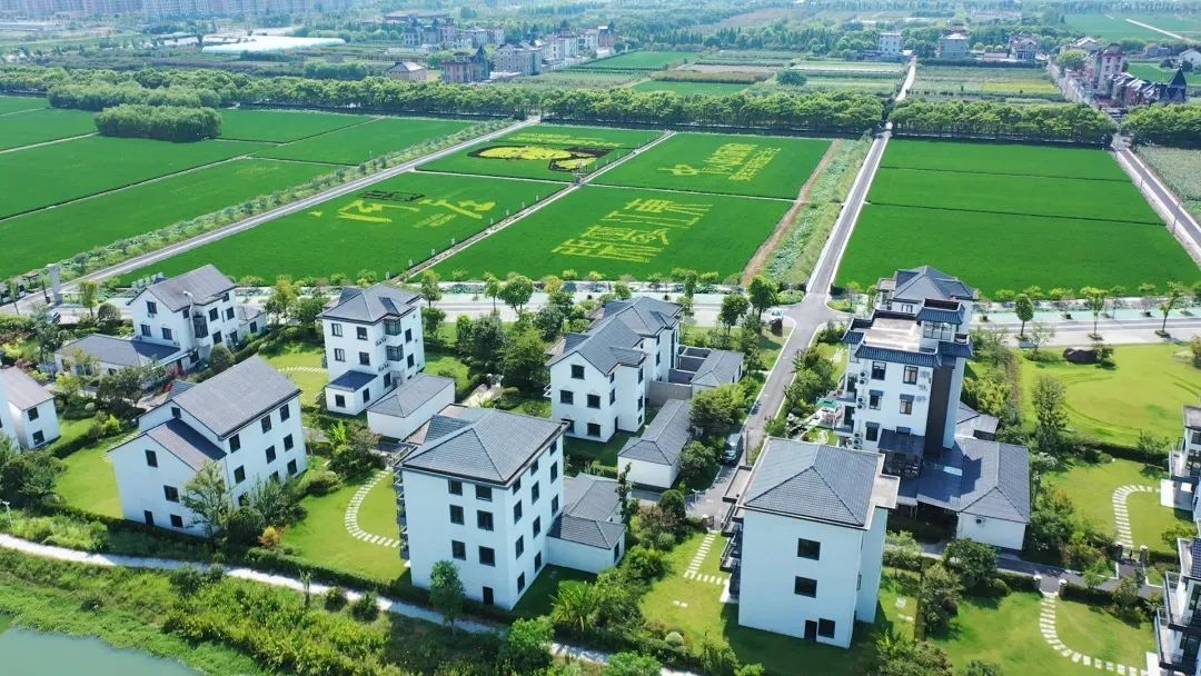 全域美丽 看钱塘如何绘就“产城人”融合发展画卷凤凰网浙江_凤凰网