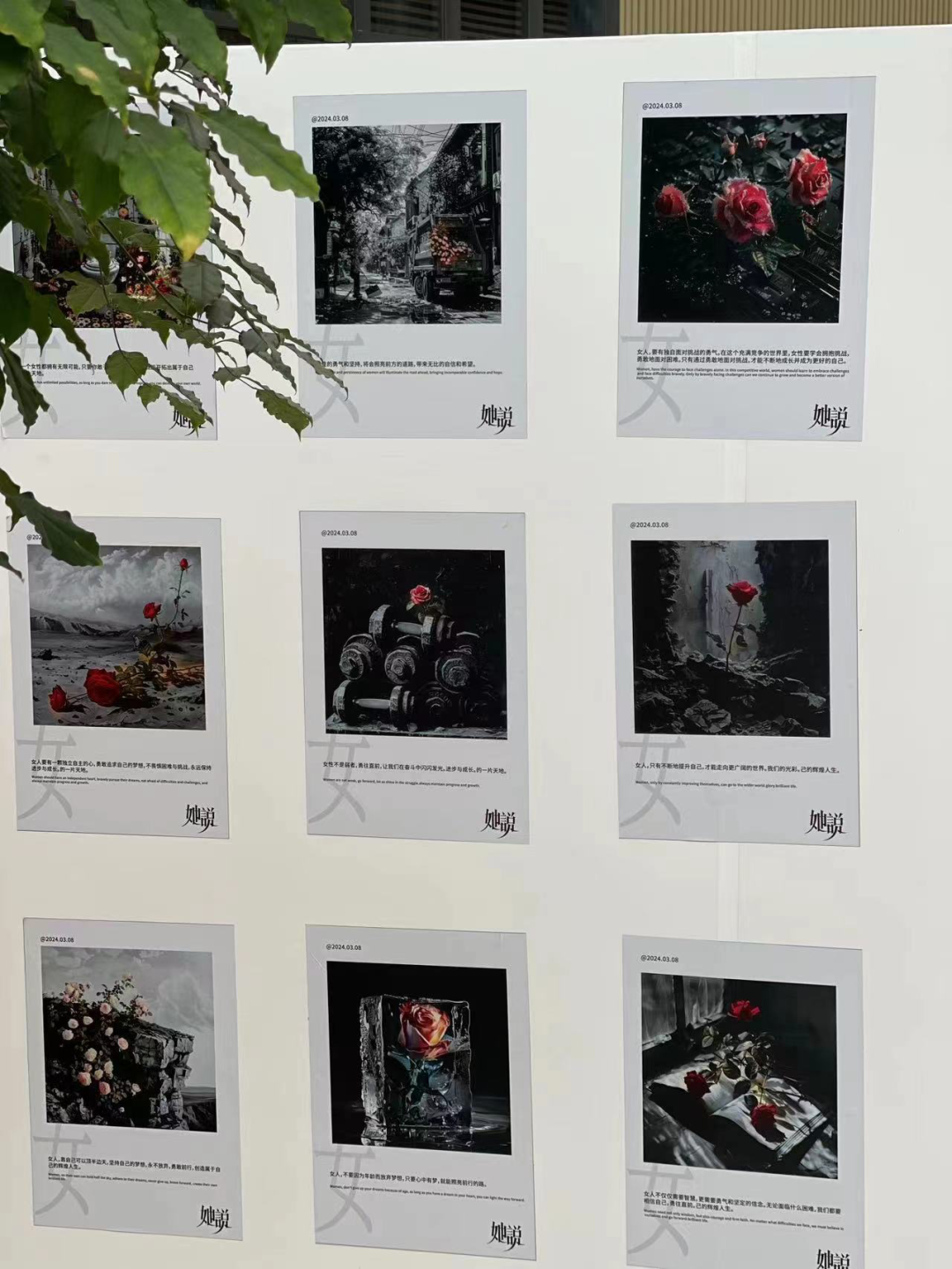图/用AI策展 来源/阿杰提供