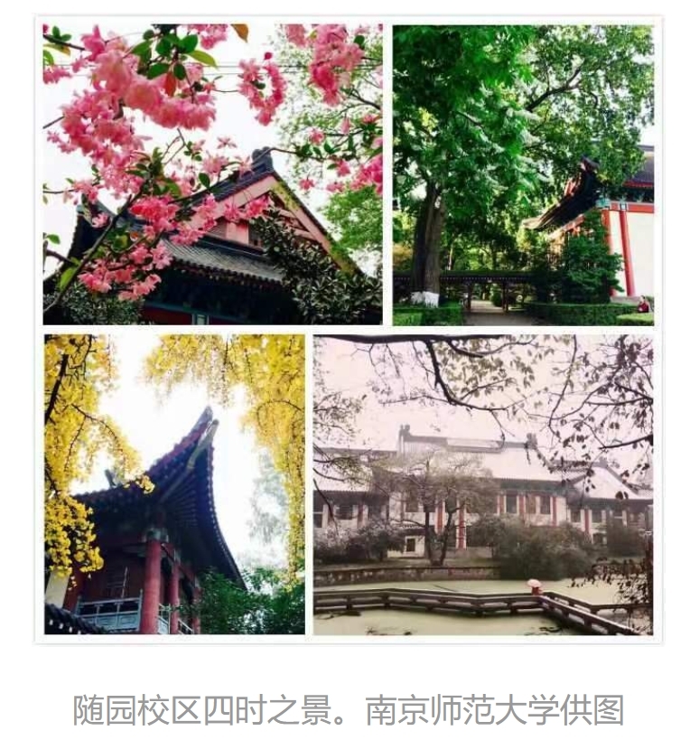 阳春三月,草木萌发,从南师大随园校区大门南行,至宁海路与广州路相交