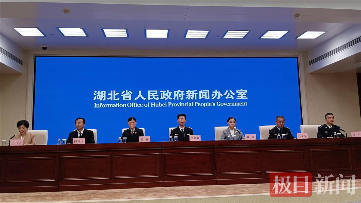 湖北加大知识产权案惩罚性赔偿力度(图1)