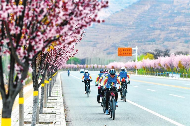 进入4月，天水城市道路两旁的绿化带鲜花绽放，焕发出勃勃生机。新甘肃·甘肃日报记者　高樯