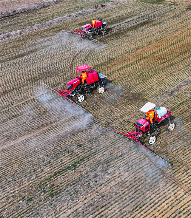 大型植保农机在喷洒农药纺织病虫害。
