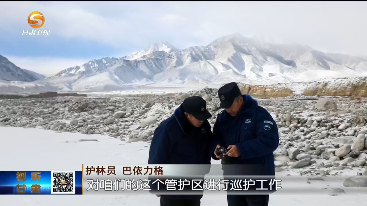 守护海拔3900米自然保护区　他们在冰川雪山中交"朋友"