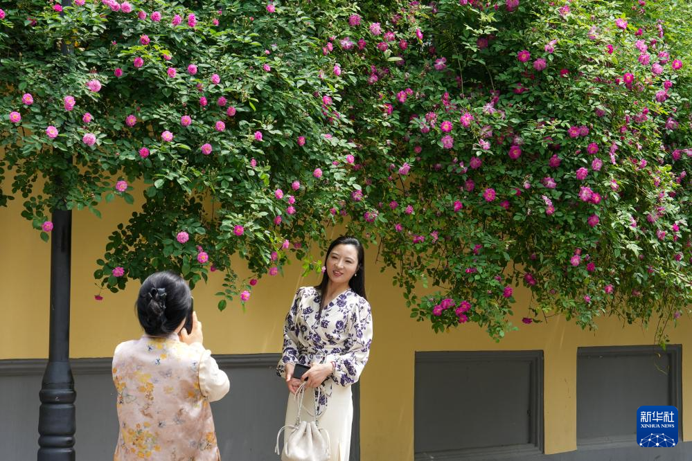 游客在南京颐和路历史文化街区休闲游玩（4月16日摄）。新华社记者 李博 摄