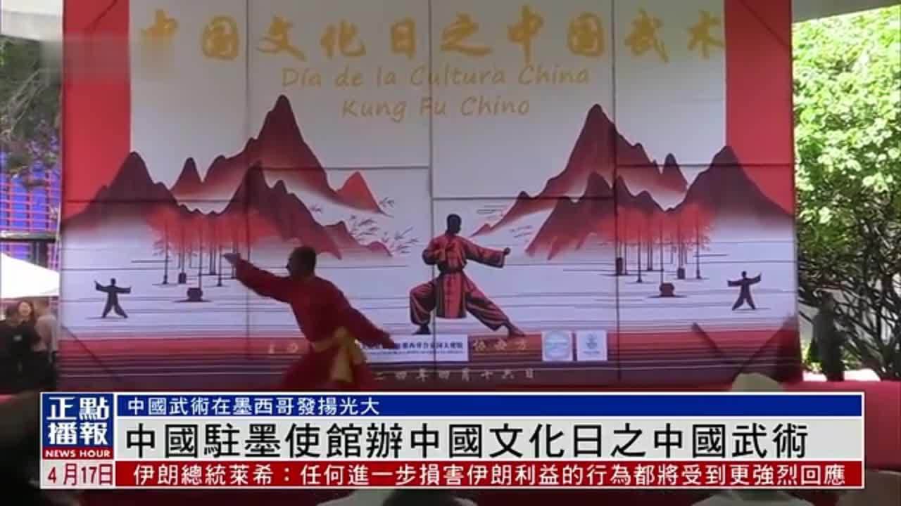 中国驻墨西哥大使馆办中国文化日之中国武术活动