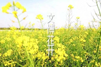 考古也浪漫！油菜花开遍4000年前荥阳大王庄遗址