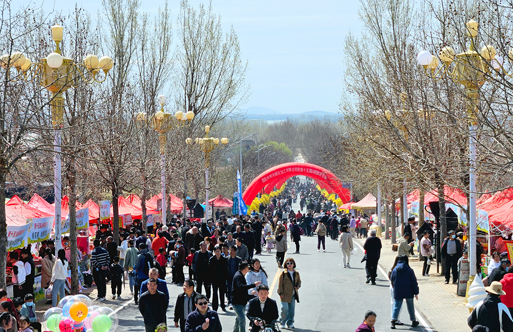 “山阳梨花节”现场 昌邑市饮马镇人民政府供图