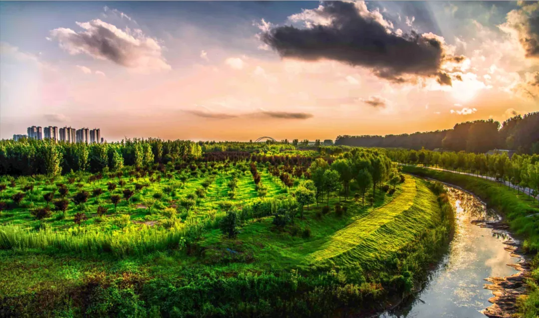 //濮阳市国家金堤河湿地生态园