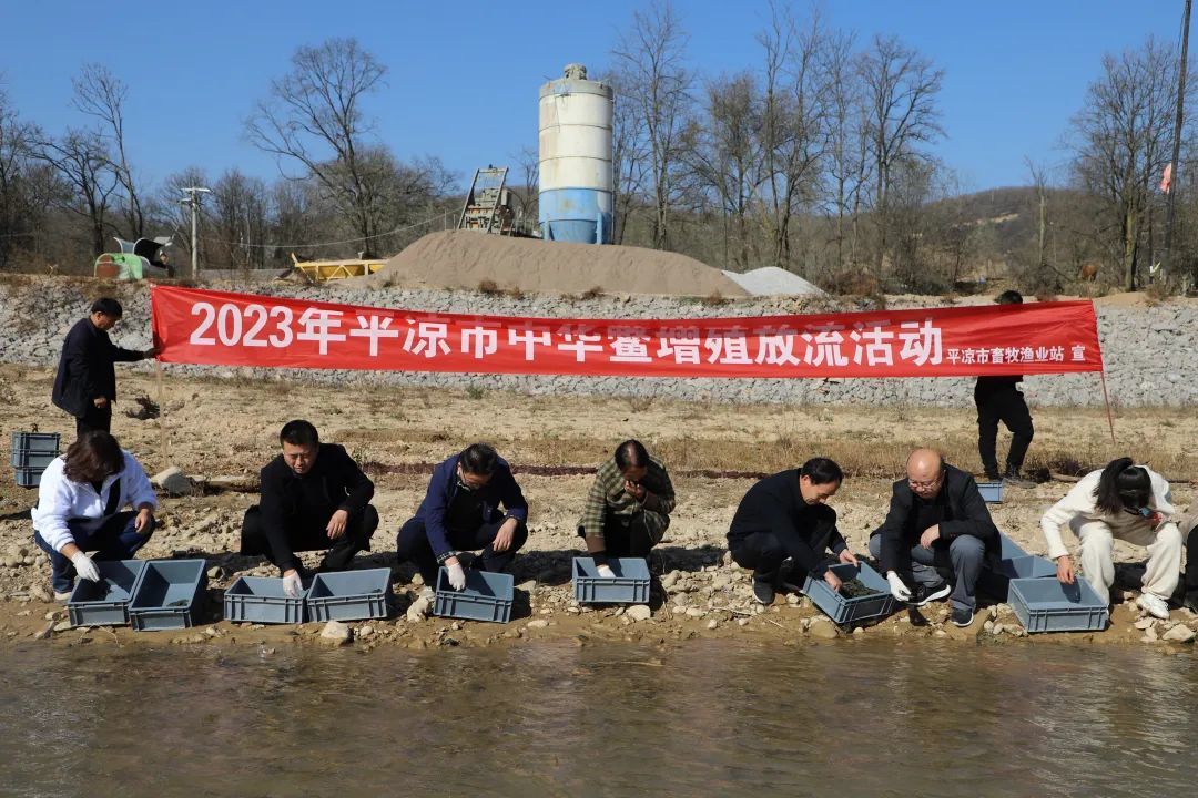 图为2023年中华鳖增殖放流活动现场