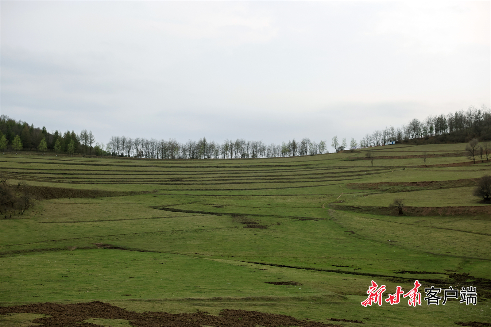 清水县非子牧场景区　新甘肃&middot;甘肃日报记者　冯乐凯　摄