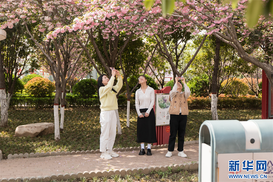 4月11日,河南省济源市思礼镇万阳湖畔,游人在拍照打卡。