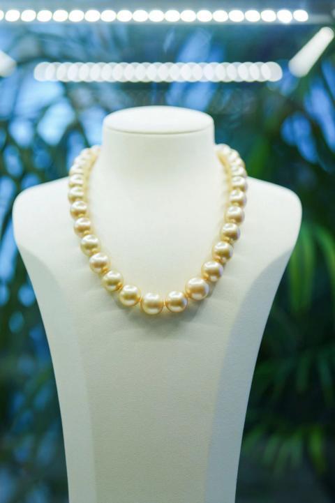 “匠心传承，巾帼绽放”美裕珍珠品牌宣传活动圆满成功